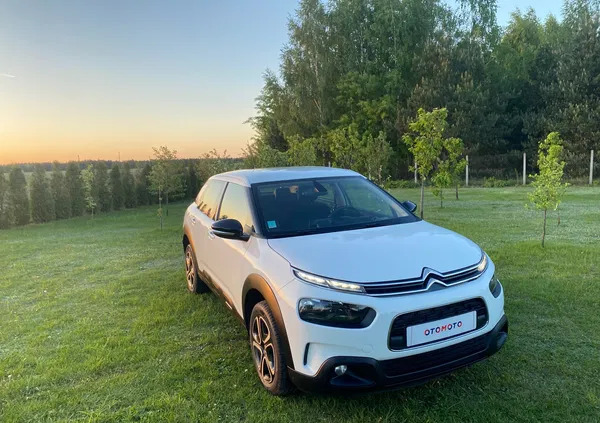 citroen c4 cactus siedlce Citroen C4 Cactus cena 39900 przebieg: 230000, rok produkcji 2019 z Siedlce